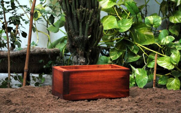 Flower Pot Container (Rectangular)